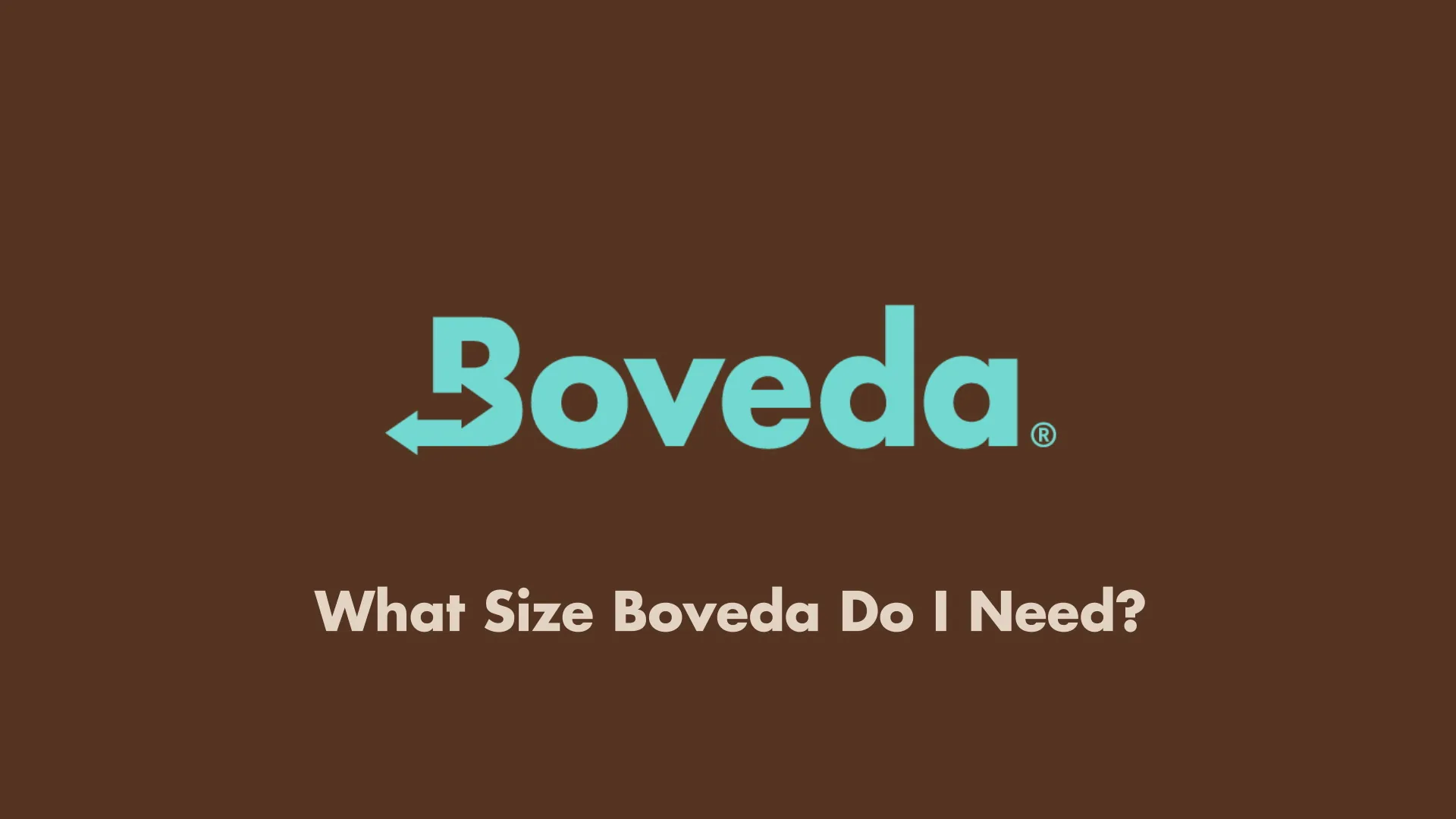 Boveda 65% Size 320 Humidity Control Pack Review image 8