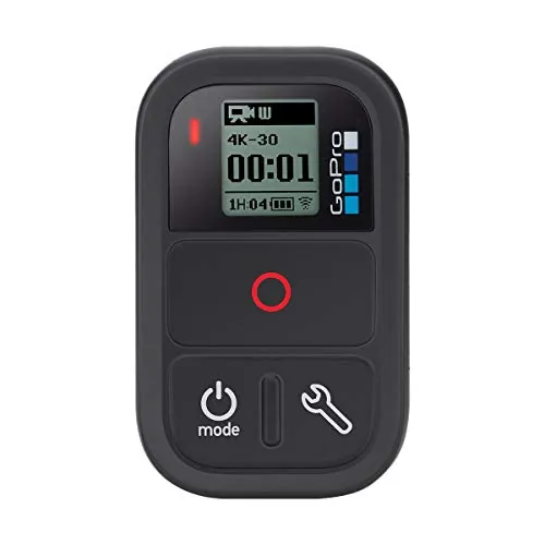 GoPro Smart Remote Control Review for GoPro Cam...