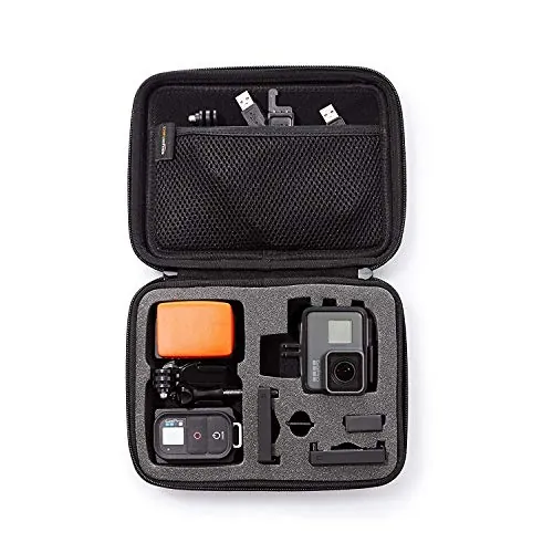 Amazon Basics GoPro Carrying Case Review image 1