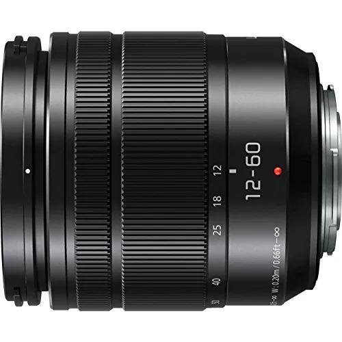 Panasonic Lumix 12-60mm Review: Micro Four Thir...