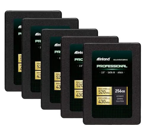 INLAND Professional 256GB SSD 5-Pack